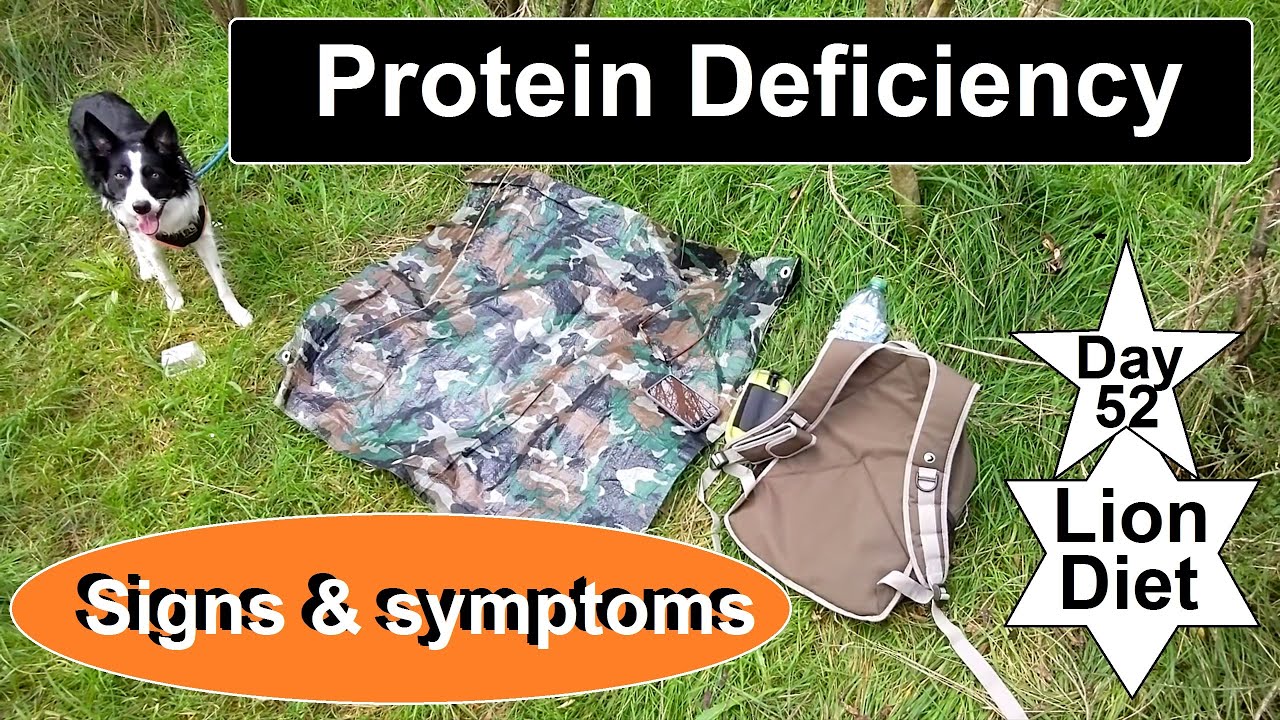 Protein Deficiency Signs & symptoms. Day 52 on the lion diet update