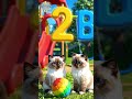 123 Counting + ABC Song for Kids | Nursery Rhymes | Learn Numbers and Letters | Kids Songs