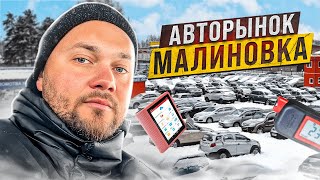 Подбор Авто в Беларуси За Один День 2022┃Авторынок Малиновка