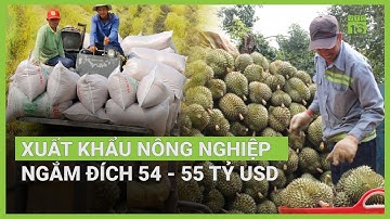 Ngắm đích xuất khẩu 55 tỷ USD, ngành nông nghiệp cần làm gì? | VTC16