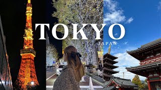 Tokyo Japan Travel & Eats | Mt. Fuji day tour, Shopping and Tourist Destinations!
