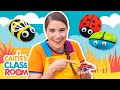 Amazing Bugs! | Caitie's Classroom | Education for kids image