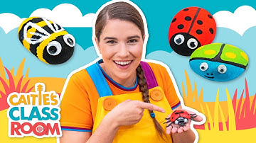 Amazing Bugs! | Caitie