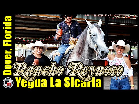 🐴 Yegua "La Sicaria" del Rancho Reynoso Dover, FL.