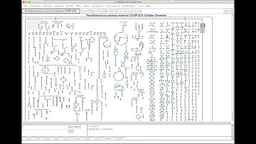 Introduction to Pathway Tools Part 4