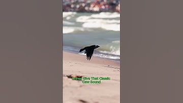 How to Tell the Difference