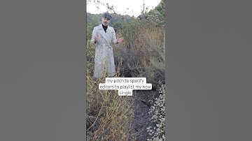 my pitch to spotify editors to playlist my new single #newmusic