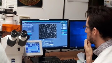 Zen Microscope training 7