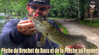 Pêche du Brochet, du Black Bass et de la Perche au Popper