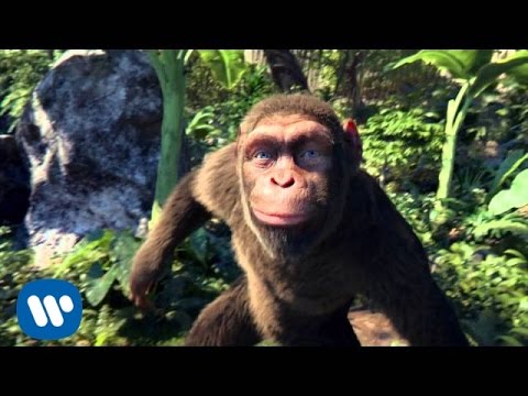 Juego del Mono en la Selva: ¡Diviértete con la Aventura!