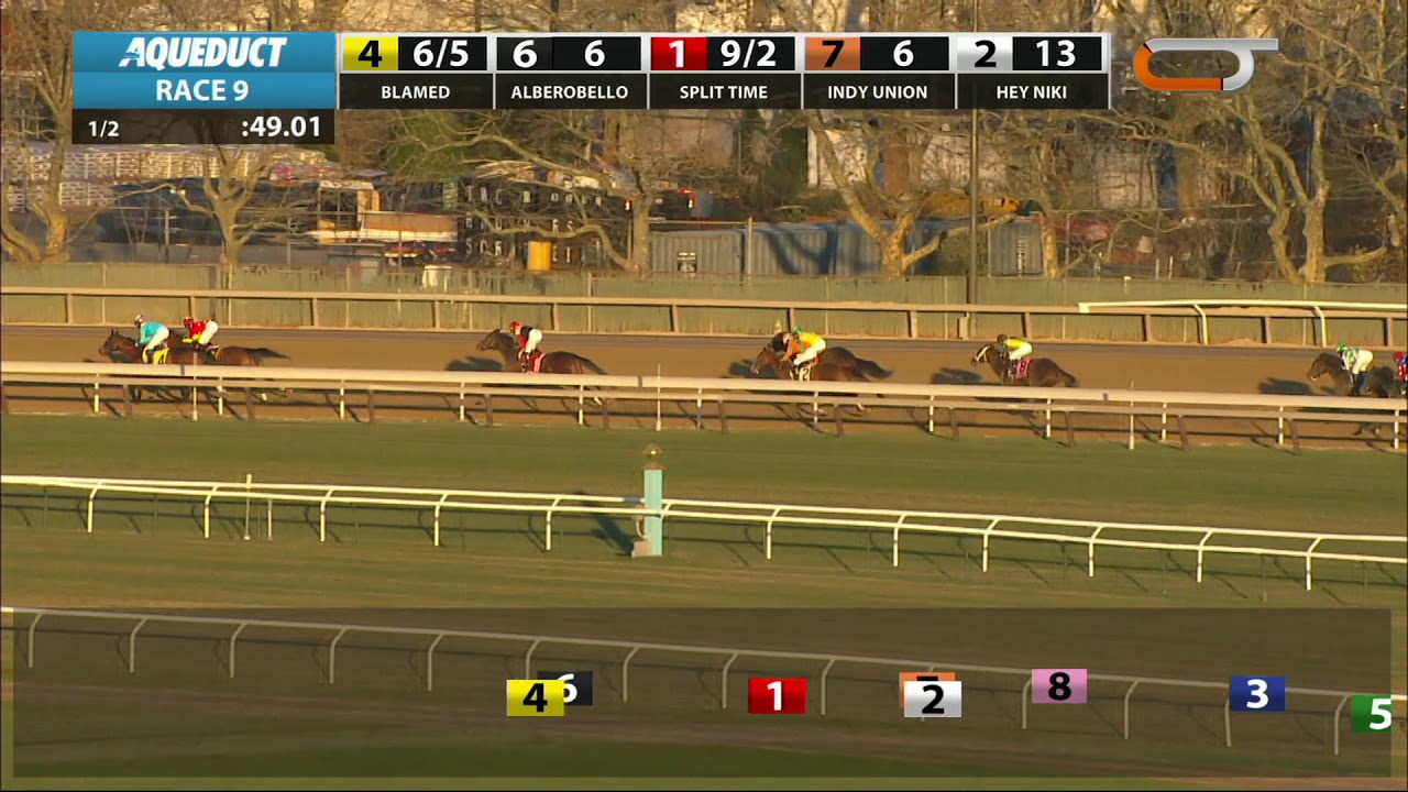 horse racing news Blamed - 2018 - The Comely Stakes en Espanol