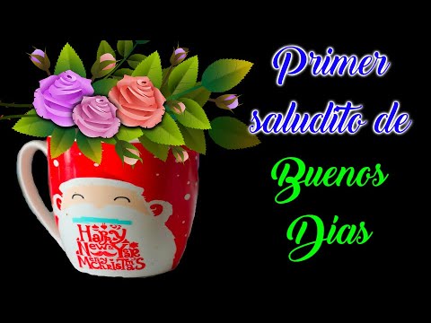 Imagen de consulta de la búsqueda visual