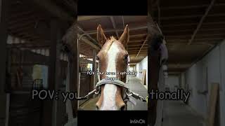 It’s honestly the forelock. #RideforMillie