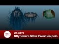 3D Maya 182 Dinamicas NDynamics NHair Creacion de pelo