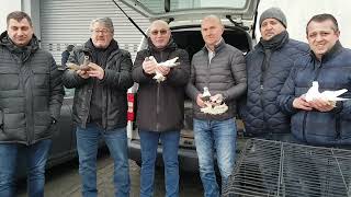 картинка: Германия,  ярмарка голубей г.Weilburg,26.01.25.часть 2