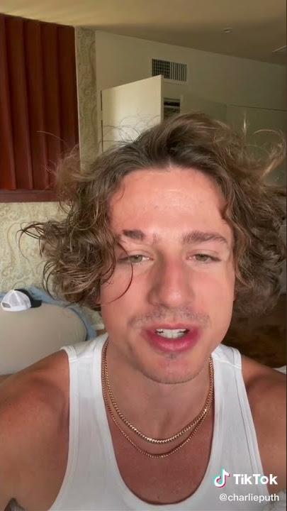 Charlie Puth Cheating on you tiktok - 14 July 2021