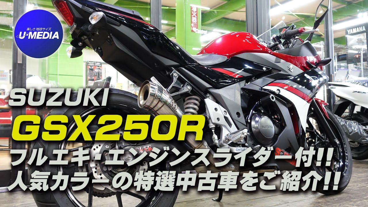 SP忠男 スリップオンマフラー GSX250R用