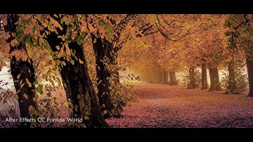 After Effects CC Particle World