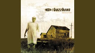 Video thumbnail of "The Buzzhorn - Ordinary"