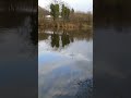 Whack!!! He ain’t going for!!! #fishing #fish #carping #fishingtechniques #carp