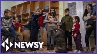Ukrainian Center Offers Dog Therapy For Children Traumatized By War