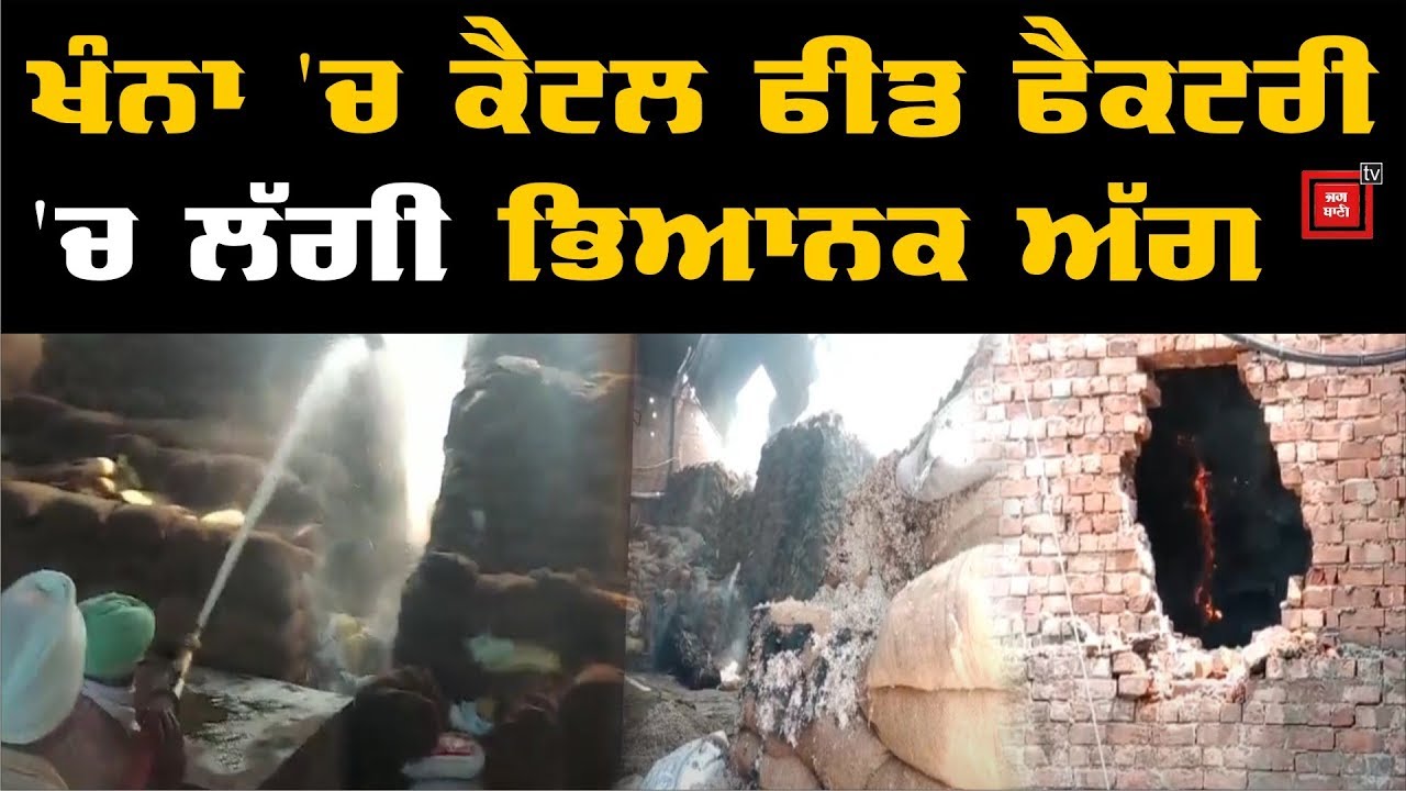 Khanna `ਚ Cattle Feed Factory `ਚ ਲੱਗੀ ਅੱਗ , 670 ਟਨ ਫੀਡ ਹੋਇਆ ਸੁਆਹ