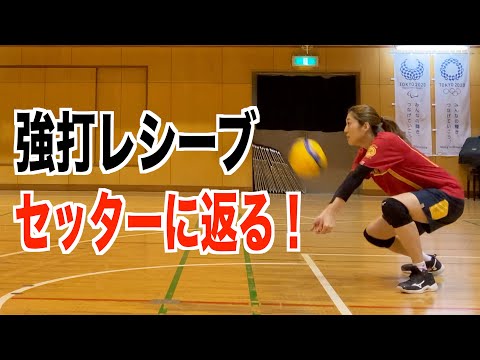 バレーボール革命！！ ブロックを軸にした女子チーム強化法 セット バレーボール革命!!～ブロックを軸にした女子チーム強化法