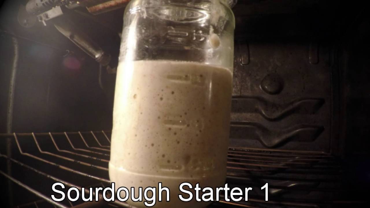 Sourdough Starter Rising After 24 Hours Sourdough Starter Rising After 24 Hours