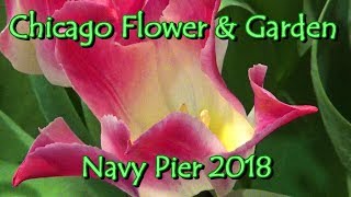 Chicago Flower & Garden Spring Show 💚 Navy Pier 2018 Tablescapes Competition