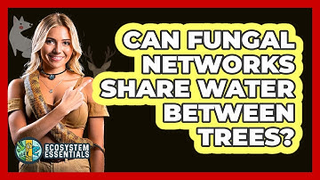Can Fungal Networks Share Water Between Trees? - Ecosystem Essentials