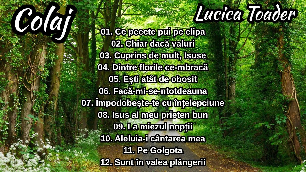 Lucica Toader - Colaj de cântări  - Partea 3