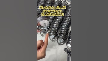 Bẫy chuột bằng cạm kiềng là hiệu quả và bền nhất #baycamkieng #cạmkiềng #bẫychồn #cạm14cm