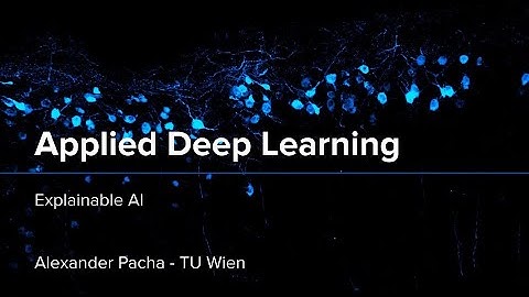 Applied Deep Learning 2024 - Lecture 12 - Explainable AI