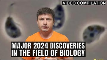 Major Scientific Discoveries In Biology in 2024, Video Compilation