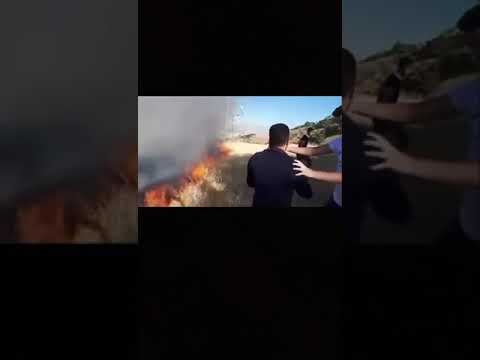 باند کرمانشاهیان مغول نژاد سپاهی در حال آتش زدن عمدی کوهستانهای کردستان