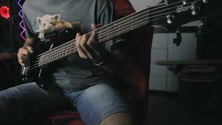 картинка: Король и Шут - Садовник (Бас)