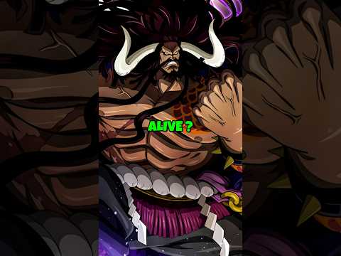 Kaido Is Not