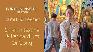 Mimi Kuo-Deemer - Small Intestine & Pericardium Qi Gong Practices