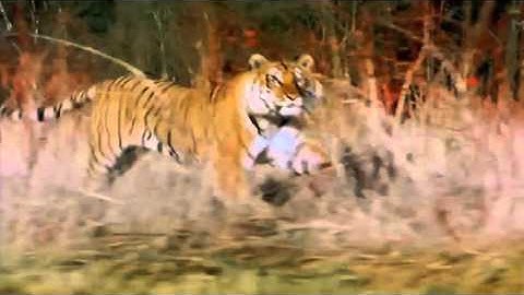 Meet the team at GS1 India