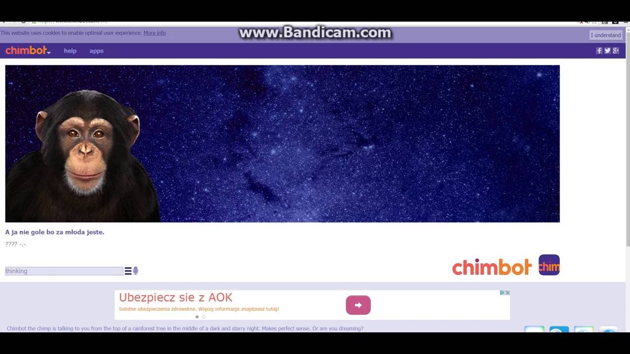 Говорящий бот обезьяна. Бот обезьяна. Чат бот обезьяна. Тролли в чате. Чат бот обезьяна.