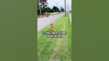 Top 5 Reasons Why You Shouldn