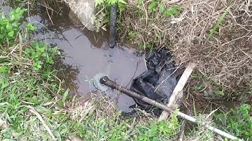 Bơm nước từ máy cắt cỏ đơn giản hiệu quả. video 1