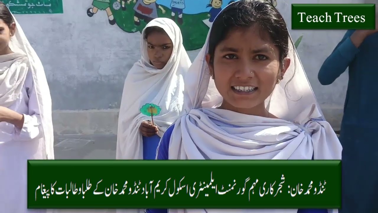 شجرڪاري مهم