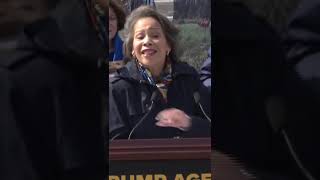 Details Lisa Blunt Rochester Roasts Elon Musk's 'Department Of Inefficiency' News
