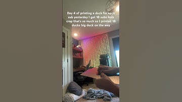 Day 4 of printing a duck for each sub