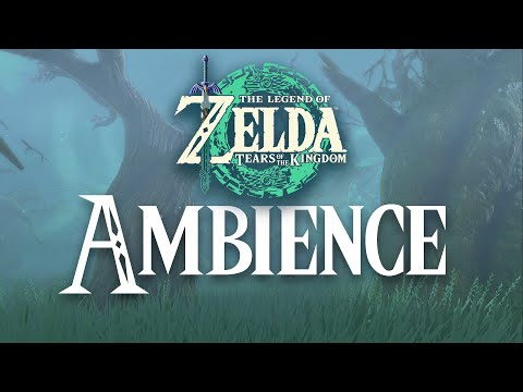 Tears Of The Kingdom Lost Woods 1 Hour Relaxing Zelda Ambience Sounds ASMR