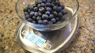 Weight Loss Diary Counting Calories Tare Digital Kitchen Scale Product Review