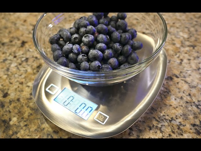 Weight Loss Diary  Counting Calories & Tare Digital Kitchen Scale Product  Review 