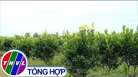 Đẩy mạnh chuyển đổi cơ cấu cây trồng