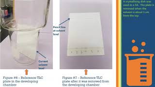 Experiment 12 - TLC Analysis of Analgesic Drugs